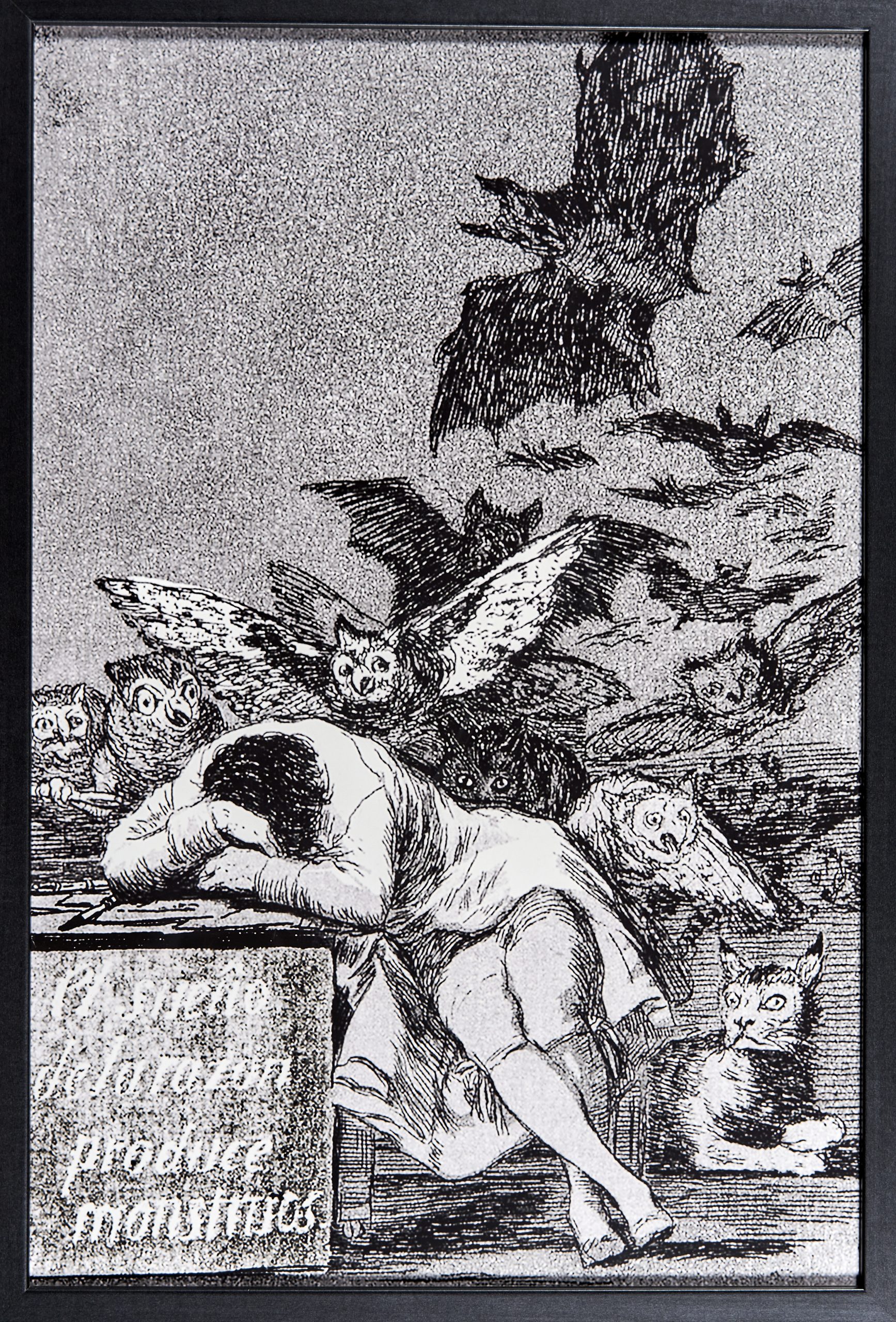 Goya, Francisco José de Der Schlaf der Vernunft gebiert Ungeheuer
