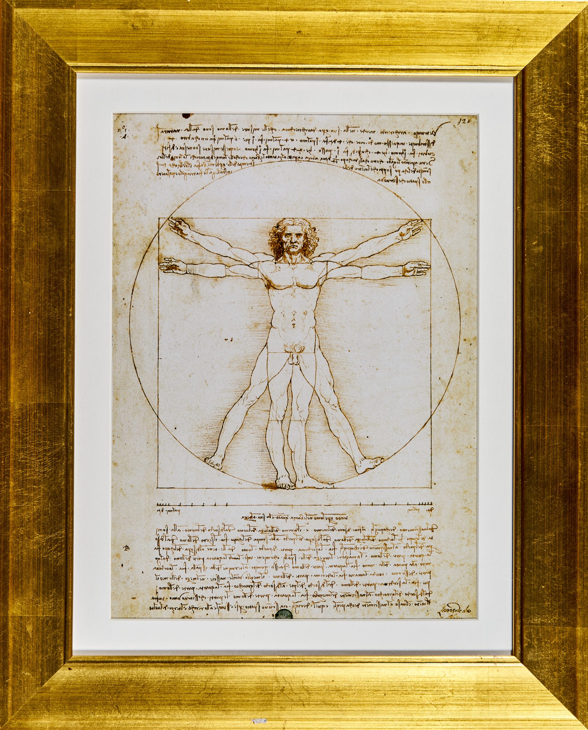 Vinci, Leonardo da Der Vitruvianische Mensch